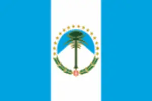 Periódicos de Neuquén