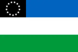 Periódicos de Río Negro